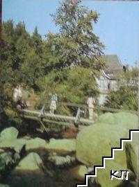 Steinerne Renne. Wernigerode