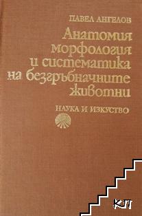 Анатомия, морфология и систематика на безгръбначните животни