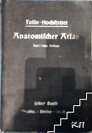 Anatomischer Atlas