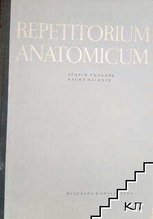 Repetitorium anatomicum