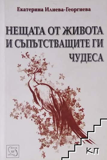 Нещата от живота и съпътстващите ги чудеса