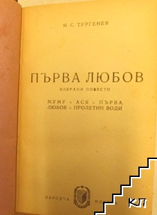 Първа любов (Допълнителна снимка 1)