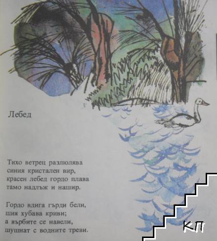 Българче (Допълнителна снимка 1)