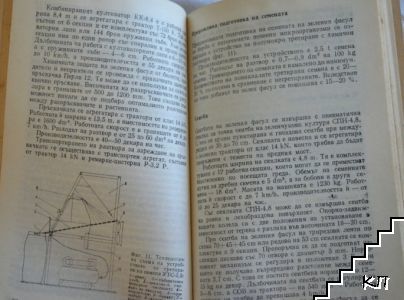 Бобови (Допълнителна снимка 1)