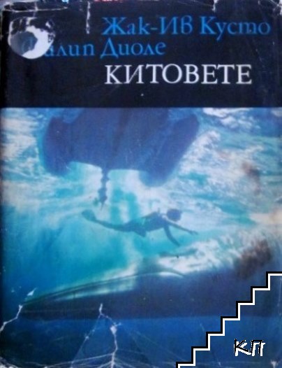 Китовете