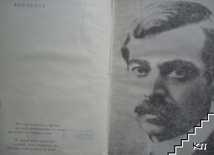 Стихотворения (Допълнителна снимка 1)