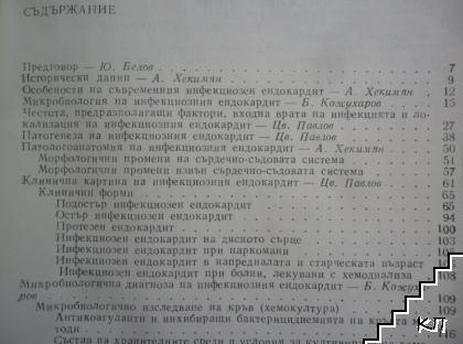 Инфекциозен ендокардит (Допълнителна снимка 2)