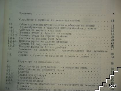 Морфология на вените (Допълнителна снимка 1)