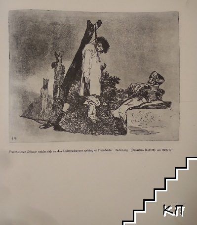 Goya (Допълнителна снимка 3)