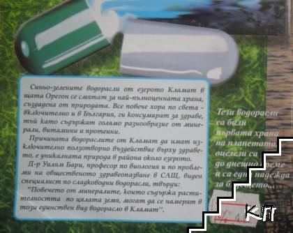 Надежда, наречена Кламат (Допълнителна снимка 1)