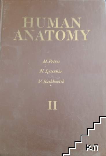 Human Anatomy. Vol. 2: The Weight-Bearing and Locomotor System, the Science of the Viscera, the Science of the Organs of Internal Secretion