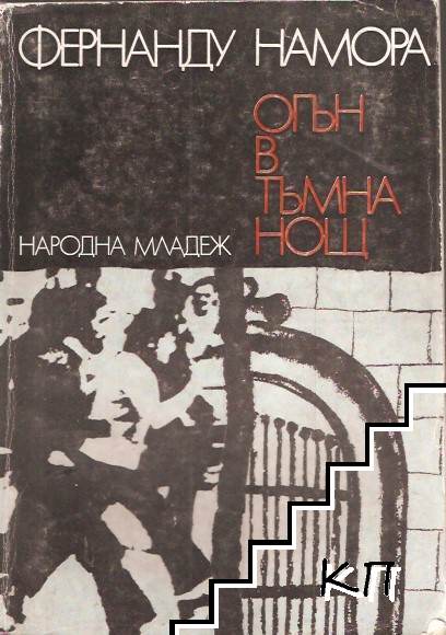 Огън в тъмна нощ