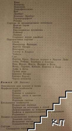 Череша и вишня (Допълнителна снимка 2)