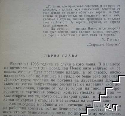 Чайка (Допълнителна снимка 2)