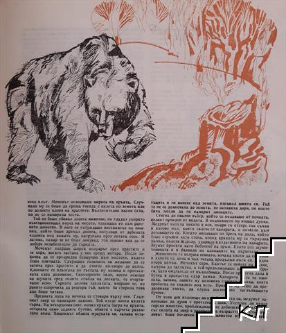 Космос. Бр. 10 / 1975 (Допълнителна снимка 2)