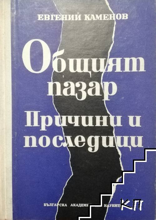 Общият пазар: Причини и последици