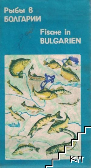 Рыбы в Болгарии / Fische in Bulgarien