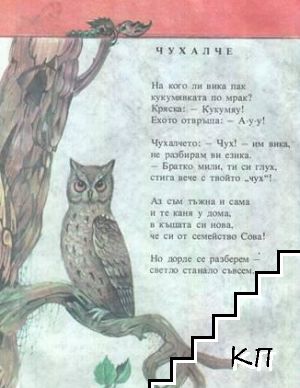 Синигерче в торбичка (Допълнителна снимка 1)