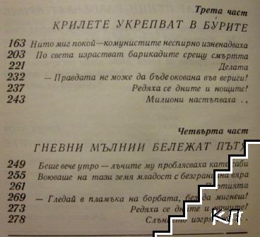 Сашо (Допълнителна снимка 2)