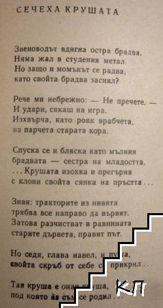 Стихотворения (Допълнителна снимка 1)