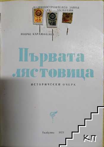 Първата лястовица (Допълнителна снимка 1)