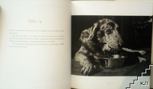 Old Dogs (Допълнителна снимка 1)