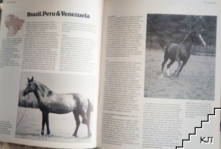 The World Atlas of Horses & Ponies (Допълнителна снимка 3)