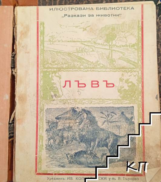 Лъвъ (Допълнителна снимка 1)
