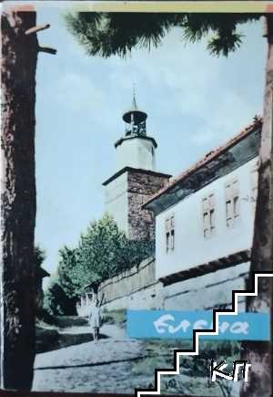 Елена
