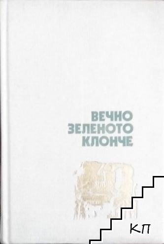 Вечно зеленото клонче