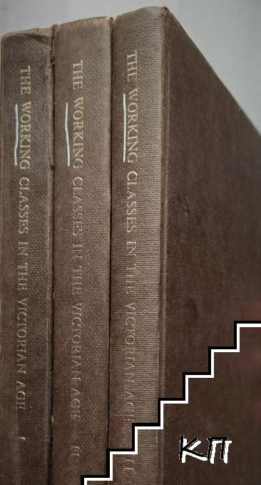 The Working Classes in the Victorian Age: Debates on the Issue from 19th Century Critical Journals. Vol. 1-3