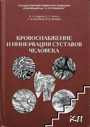 Кровоснабжение и иннервация суставов человека