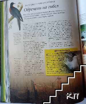 Удивителните тайни на природата (Допълнителна снимка 2) Удивителните тайни на природата (Допълнителна снимка 2)