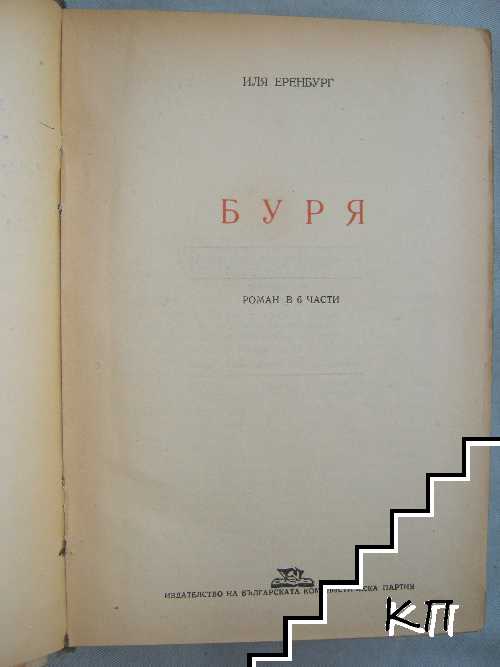 Буря (Допълнителна снимка 1)