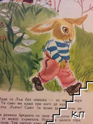 Майчина сълза - снимка 3