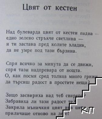 Цвят от кестен (Допълнителна снимка 1)
