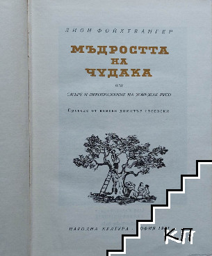 Мъдростта на чудака - снимка 1