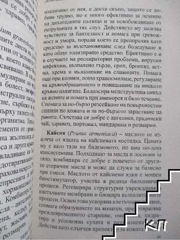 Домашна ароматерапия - снимка 2