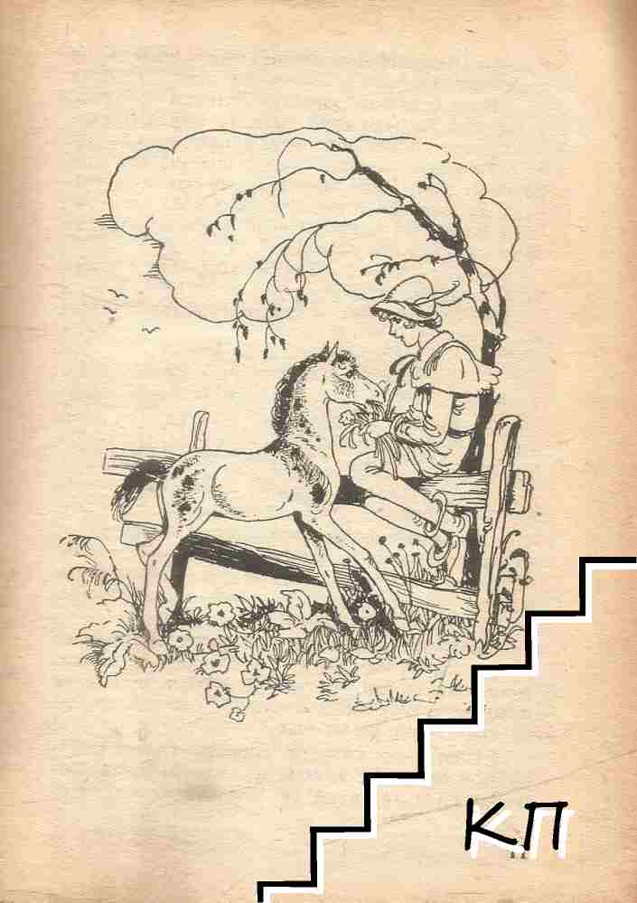 Бялата перушинка (Допълнителна снимка 1)