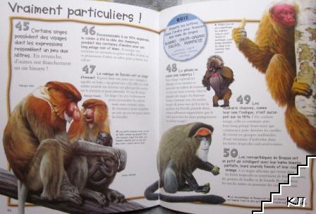 100 infos à connaître. Les singes (Допълнителна снимка 1)