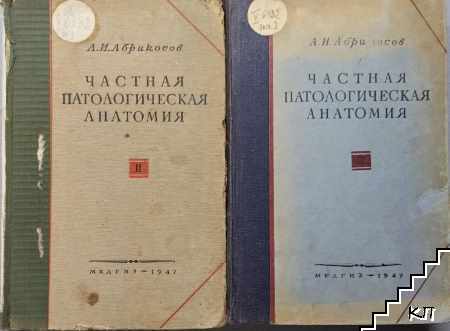 Частная патологическая анатомия. Часть 2-3