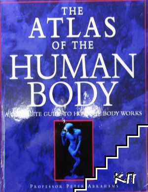 The Atlas of the Human body