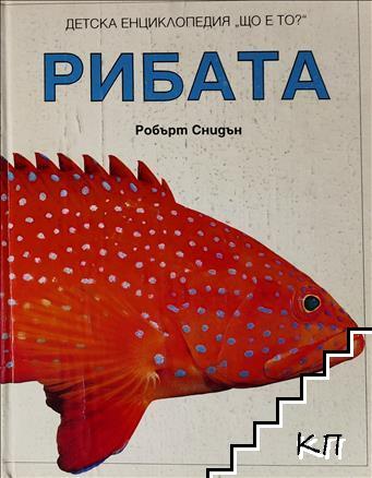 Детска енциклопедия "Що е то?". Том 2: Рибата