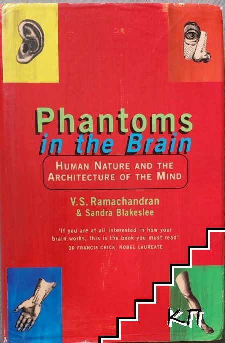 Phantoms in the Brain: Human Nature and the Architecture of the Mind