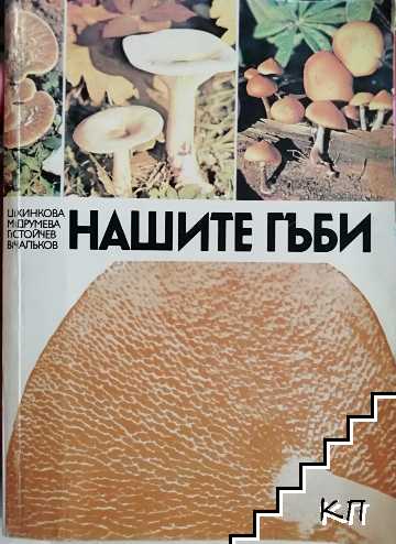 Нашите гъби