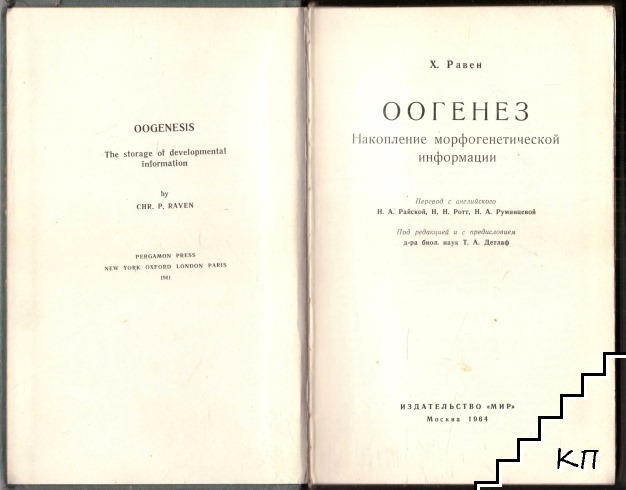 Оогенез (Допълнителна снимка 1)