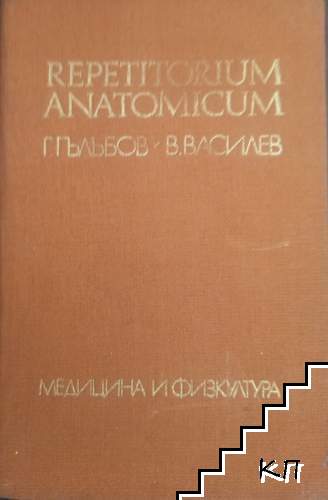 Repetitorium anatomicum