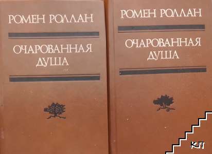 Очарованная душа. Книга 1-4