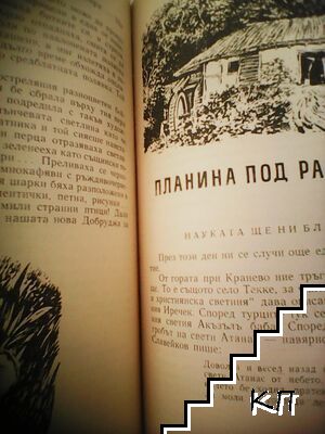 Птици долитат при нас (Допълнителна снимка 1)