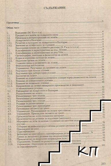 Лозарство - снимка 1